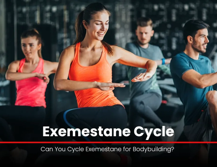 Exemestane Cycle: Can You Cycle Exemestane for Bodybuilding?