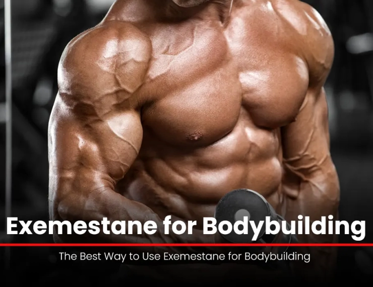 Exemestane for Bodybuilding: The Best Way to Use Exemestane for Bodybuilding