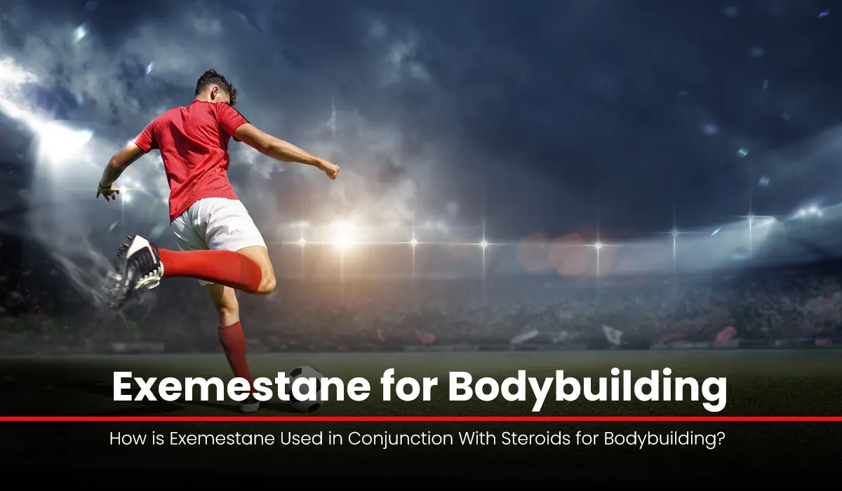 How is Exemestane Used in Conjunction With Steroids for Bodybuilding?
