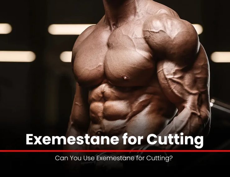 Exemestane for Cutting: Can You Use Exemestane for Cutting?