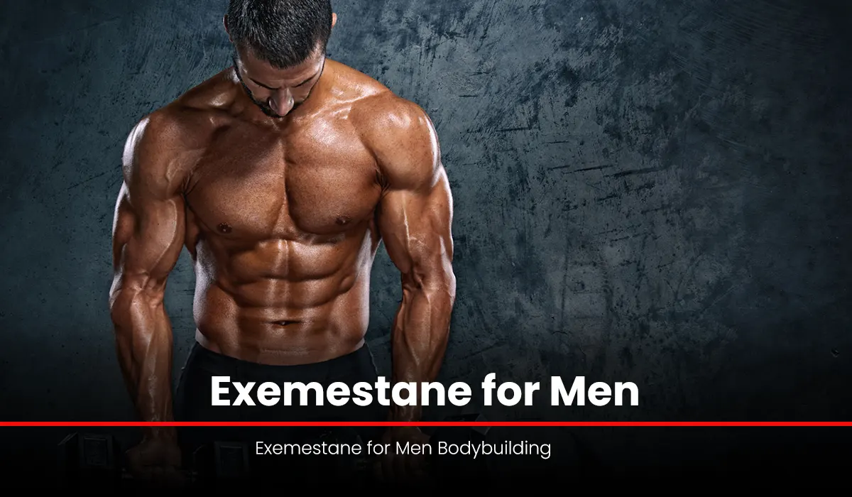 Exemestane for Men: The Answer to Your Gynecomastia?