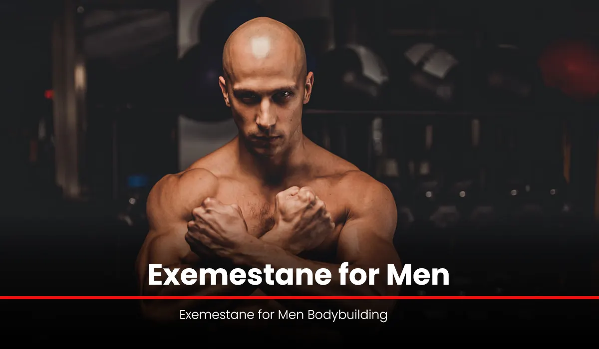 Exemestane for Men Bodybuilding
