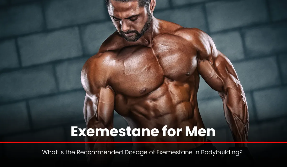 What is the Recommended Dosage of Exemestane in Bodybuilding?