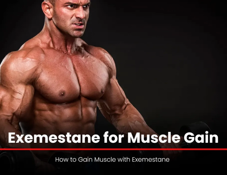 Exemestane for Muscle Gain: How to Gain Muscle with Exemestane