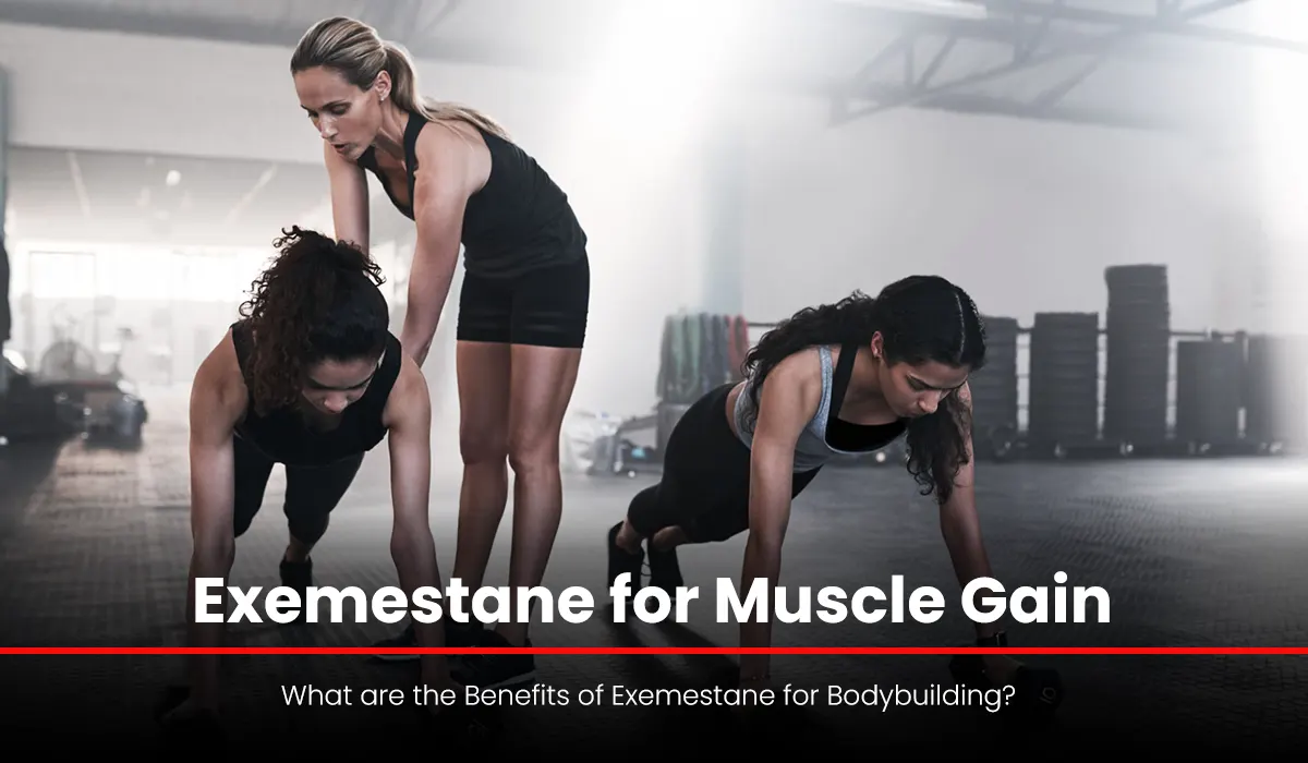 What are the Benefits of Exemestane for Bodybuilding?
