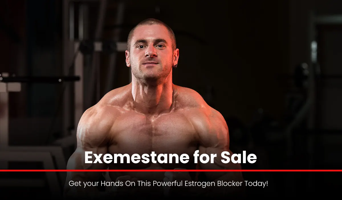 Exemestane for Sale: Get your Hands On This Powerful Estrogen Blocker Today!