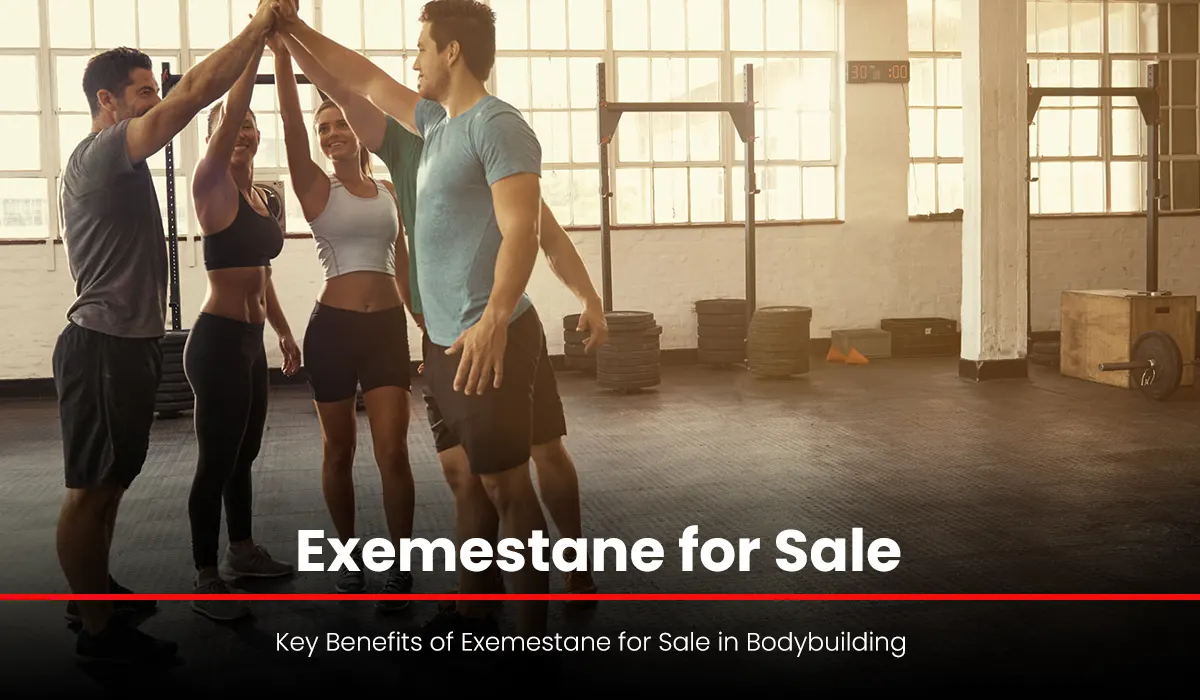 Key Benefits of Exemestane for Sale in Bodybuilding