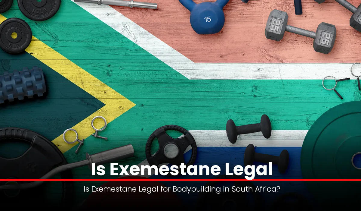 Is Exemestane Legal for Bodybuilding in South Africa?